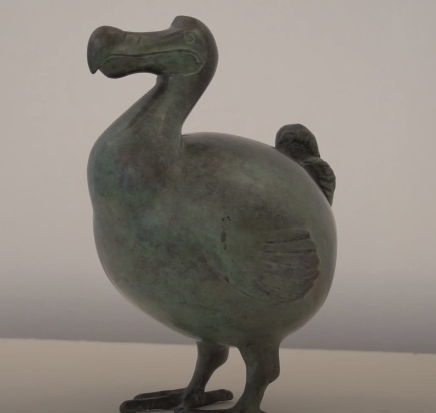 Une histoire, une oeuvre – le dodo