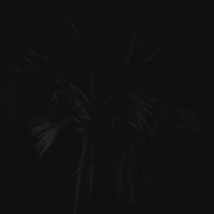 SWIMMING-POOL SERIES