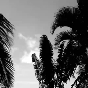 SWIMMING-POOL SERIES